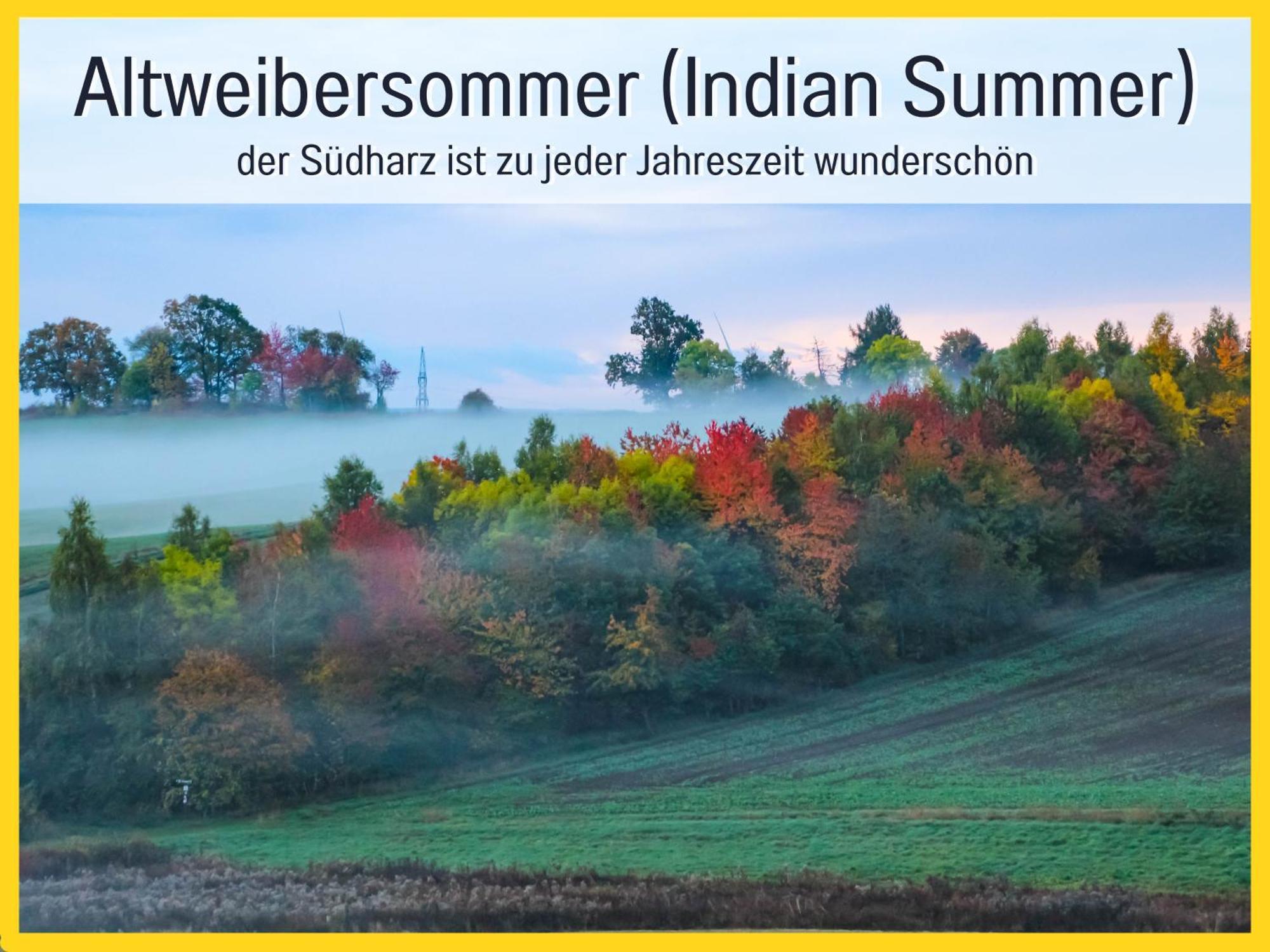 Marks Ferienwohnung In Bad Sachsa - Waldnah, Hundefreundlich, Ruhig! Ideal Fuer Paare Mit Hund Exteriér fotografie